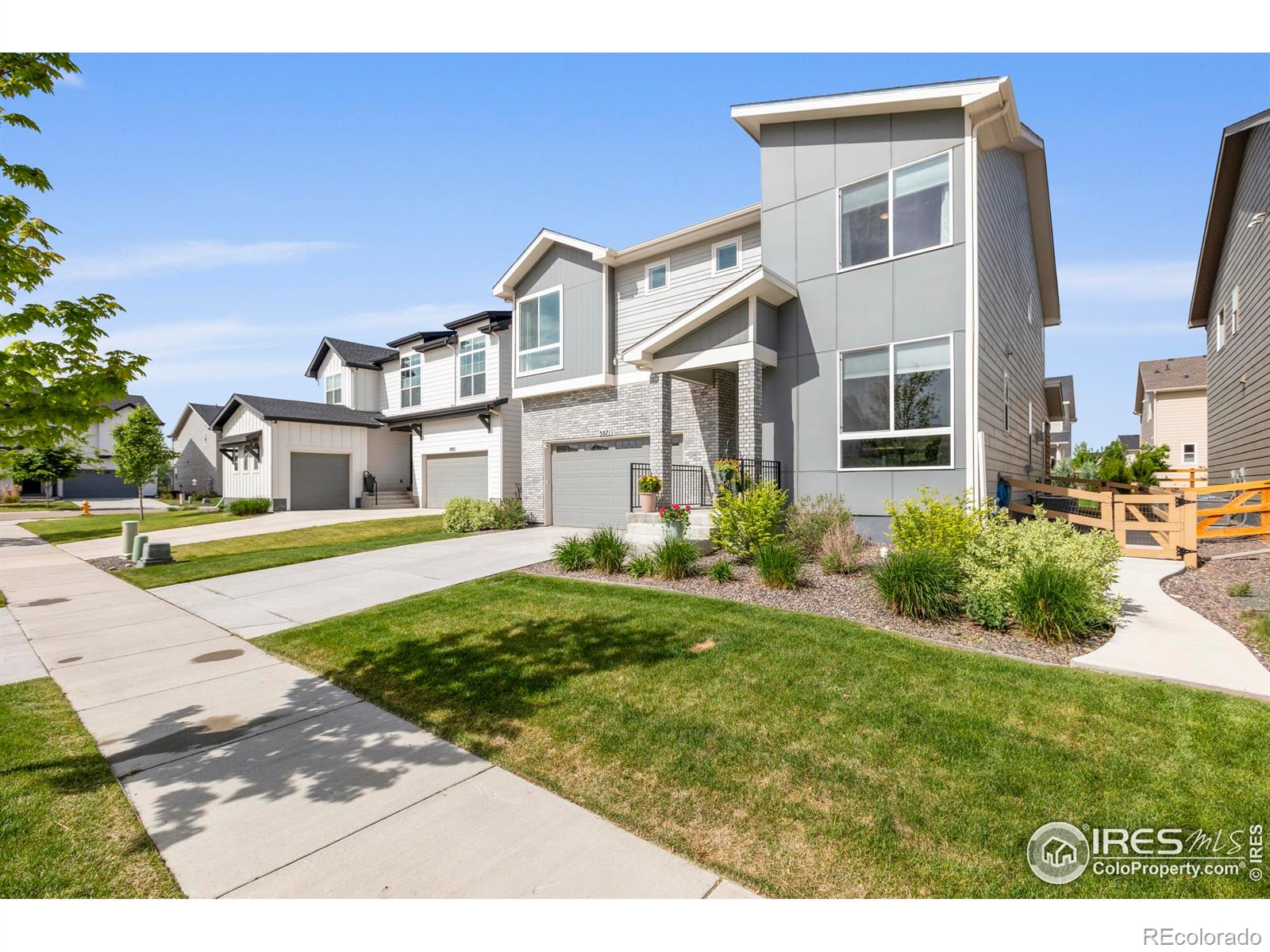 MLS Image #1 for 5071  blanchette street,timnath, Colorado