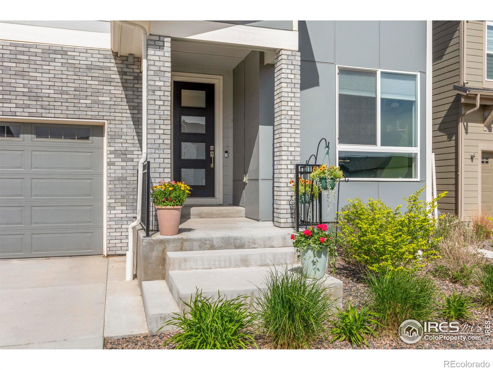 MLS Image #2 for 5071  blanchette street,timnath, Colorado