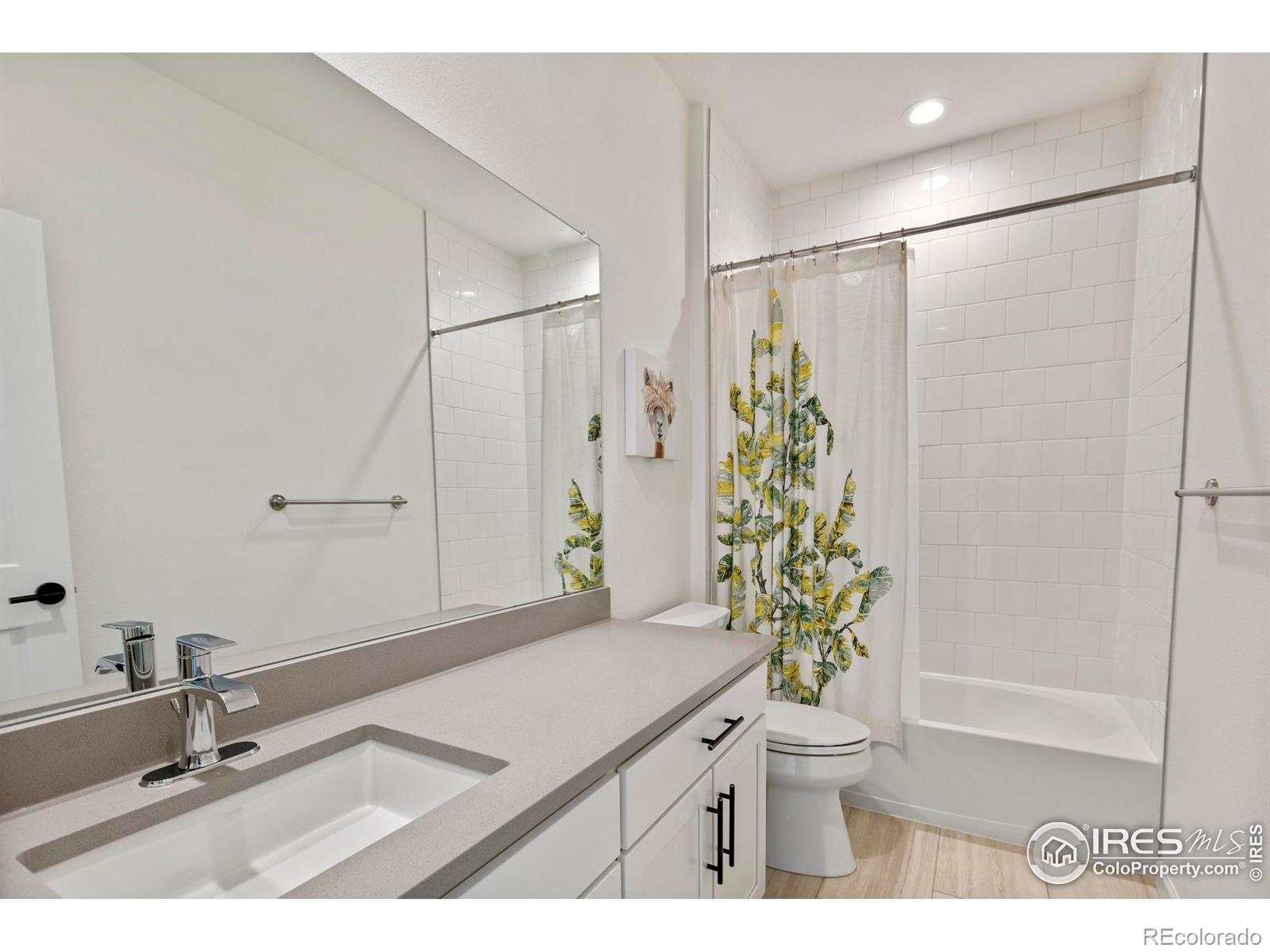MLS Image #30 for 5071  blanchette street,timnath, Colorado