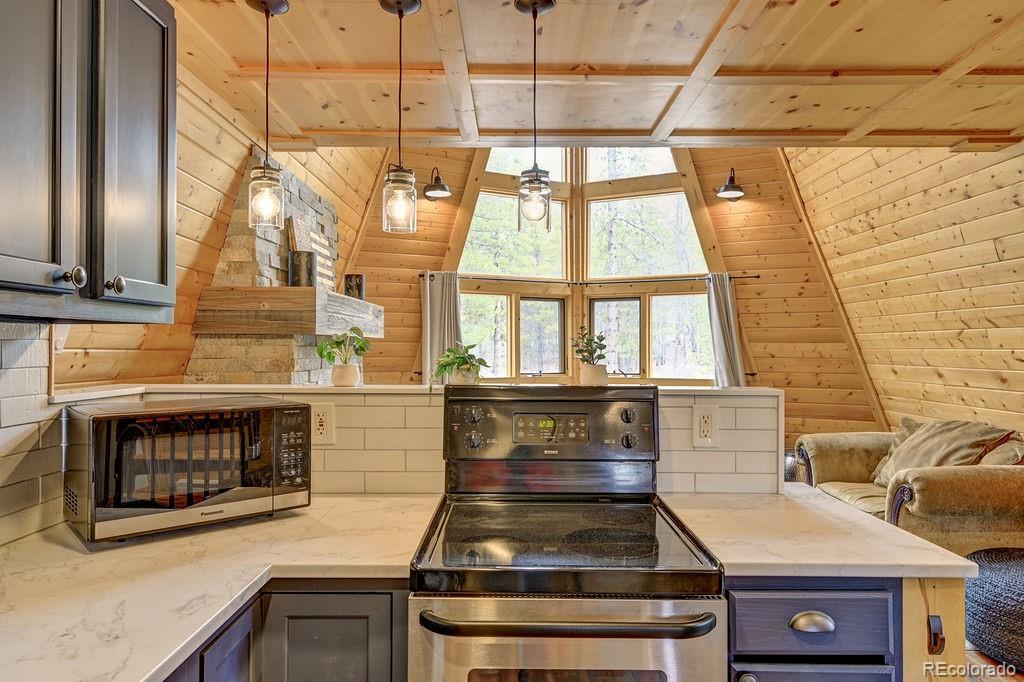 MLS Image #10 for 925  sequoia & 454 hemlock drive drive,leadville, Colorado