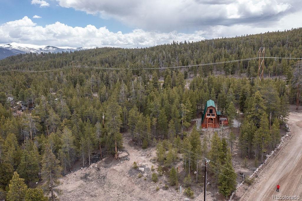 MLS Image #36 for 925  sequoia & 454 hemlock drive drive,leadville, Colorado