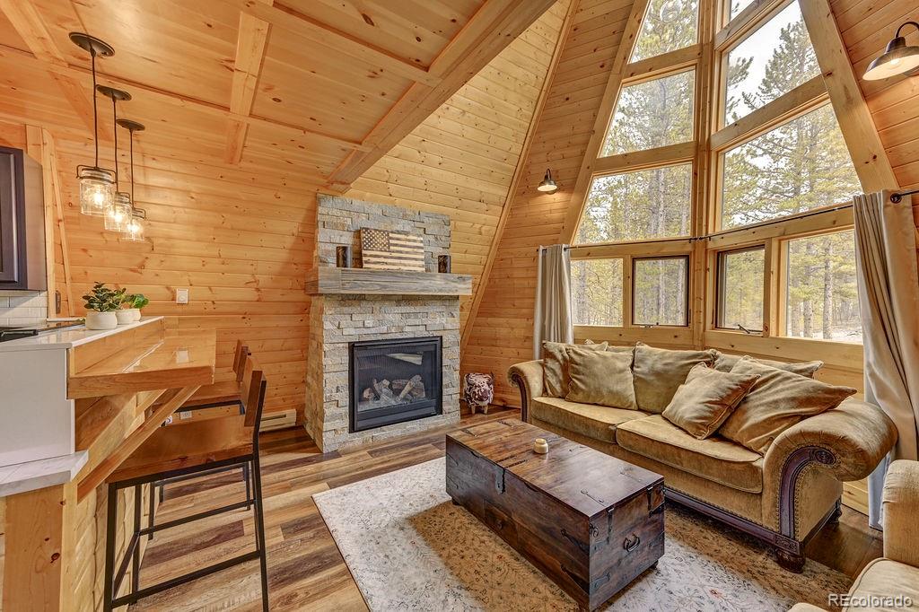 MLS Image #4 for 925  sequoia & 454 hemlock drive drive,leadville, Colorado