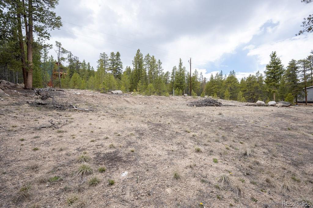 MLS Image #42 for 925  sequoia & 454 hemlock drive drive,leadville, Colorado