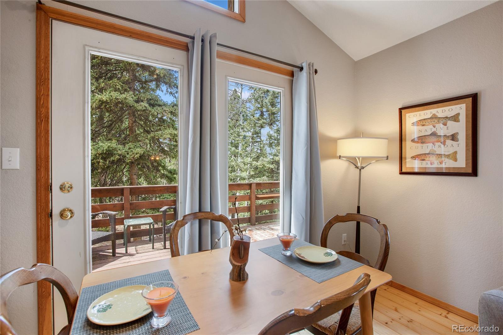 MLS Image #10 for 565  ridge road,divide, Colorado