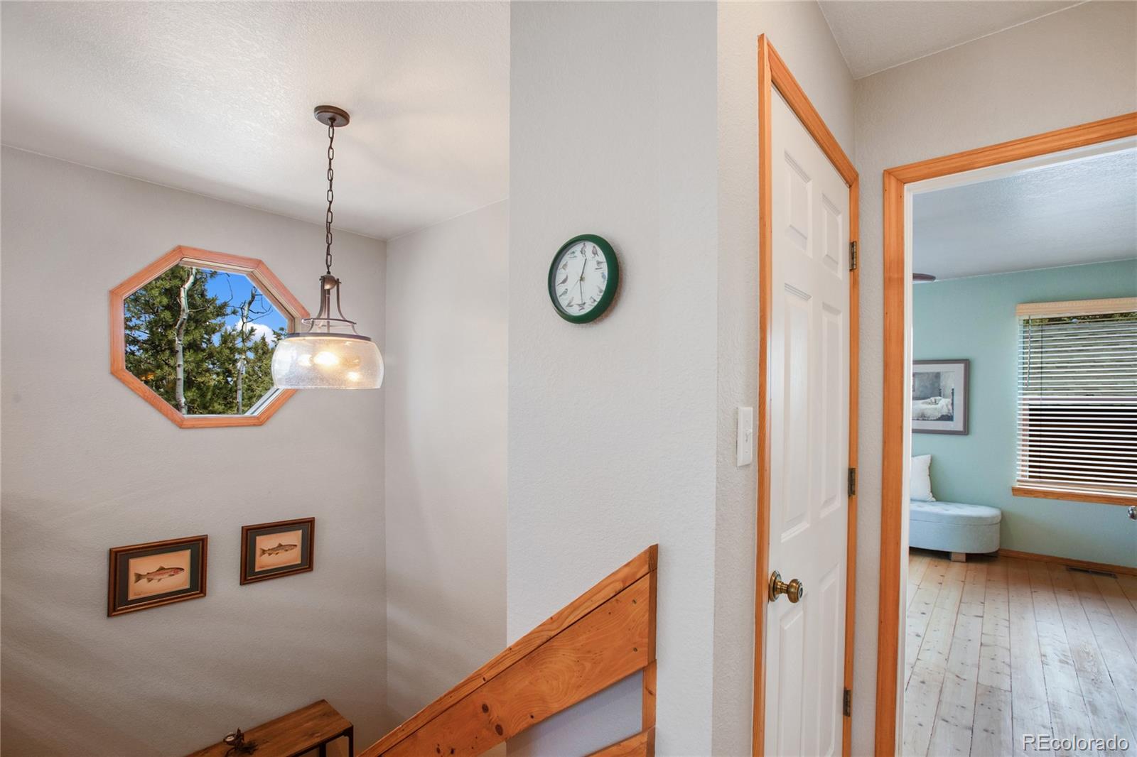 MLS Image #13 for 565  ridge road,divide, Colorado