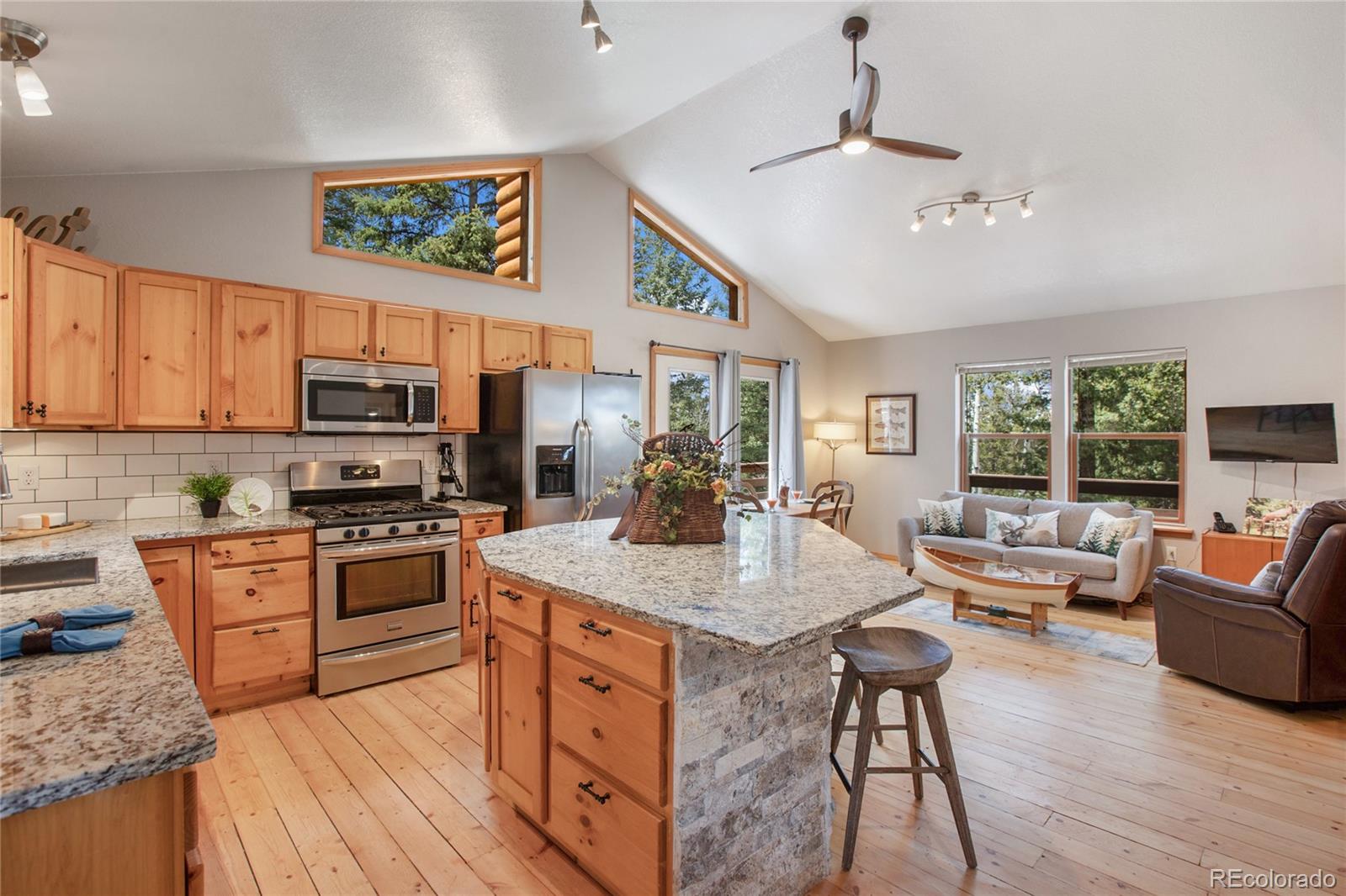 MLS Image #2 for 565  ridge road,divide, Colorado