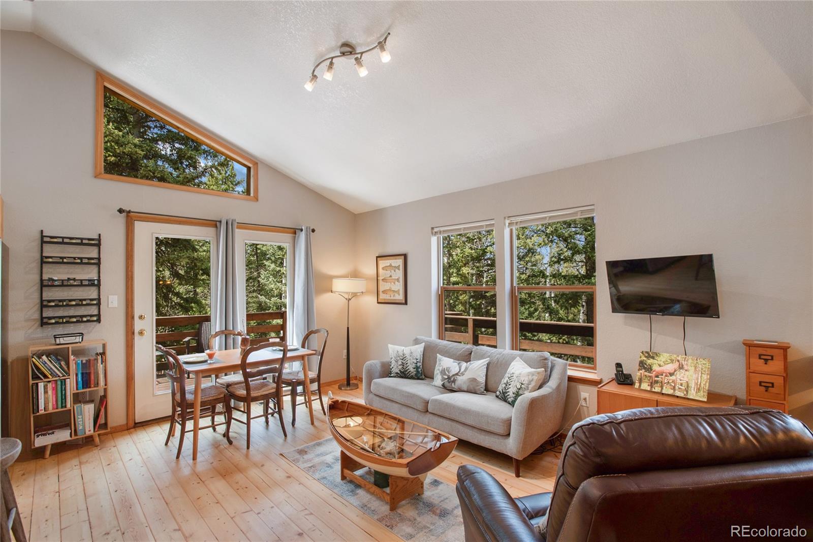 MLS Image #3 for 565  ridge road,divide, Colorado