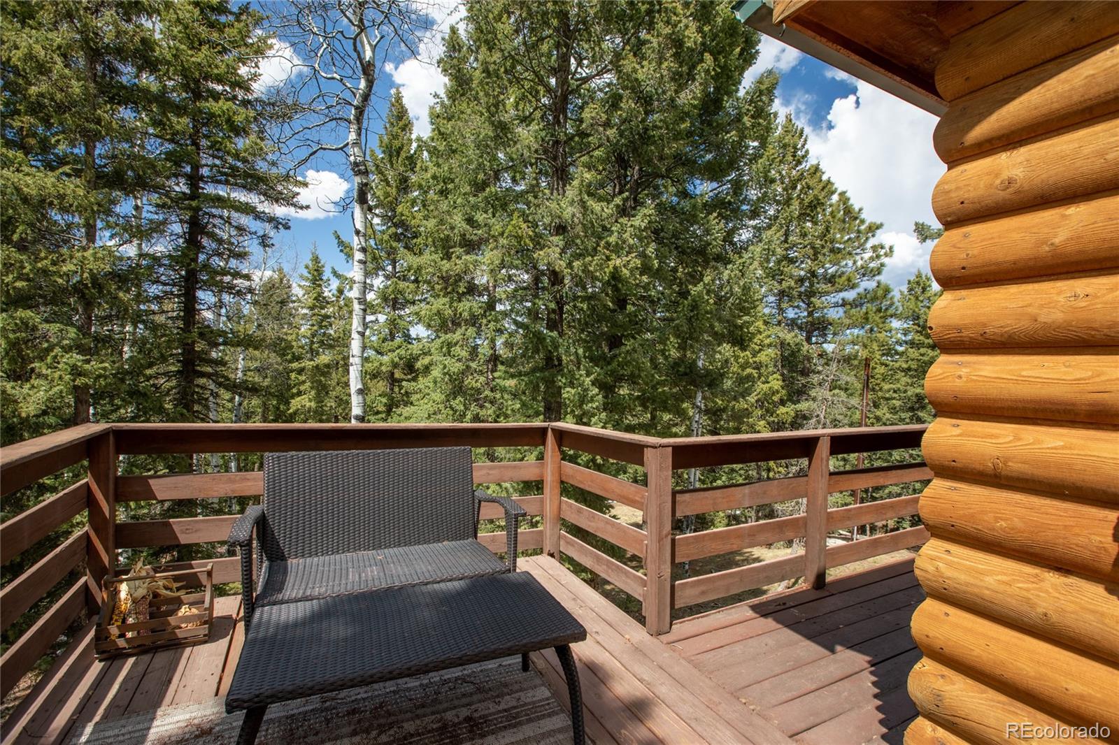 MLS Image #34 for 565  ridge road,divide, Colorado