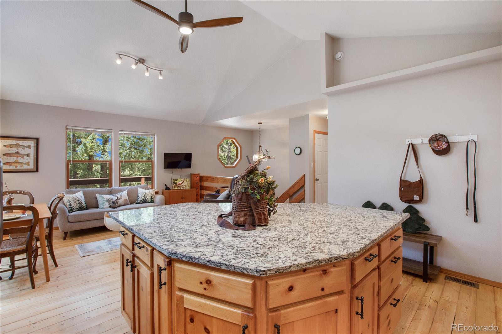 MLS Image #8 for 565  ridge road,divide, Colorado