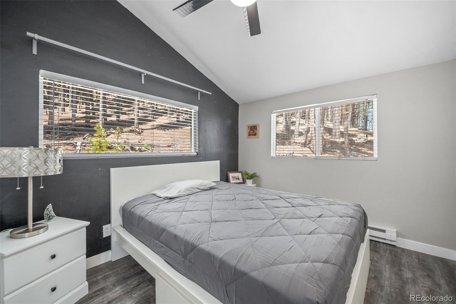 MLS Image #11 for 153  sawmill lane,idaho springs, Colorado