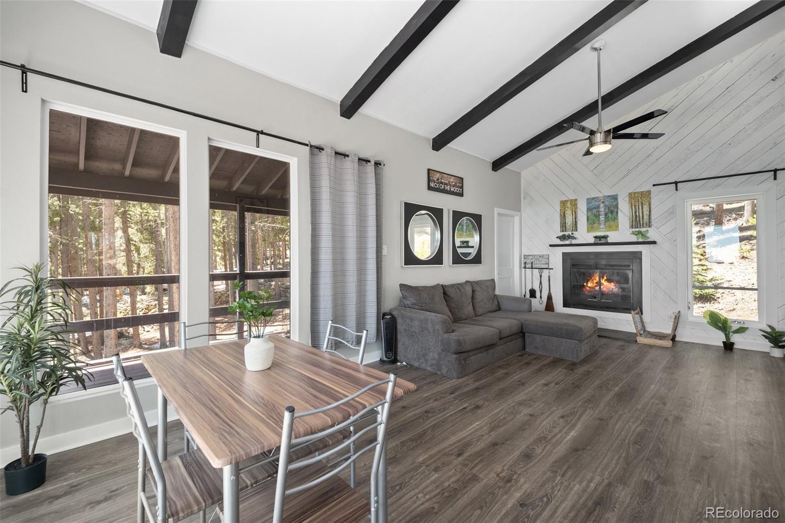 MLS Image #4 for 153  sawmill lane,idaho springs, Colorado