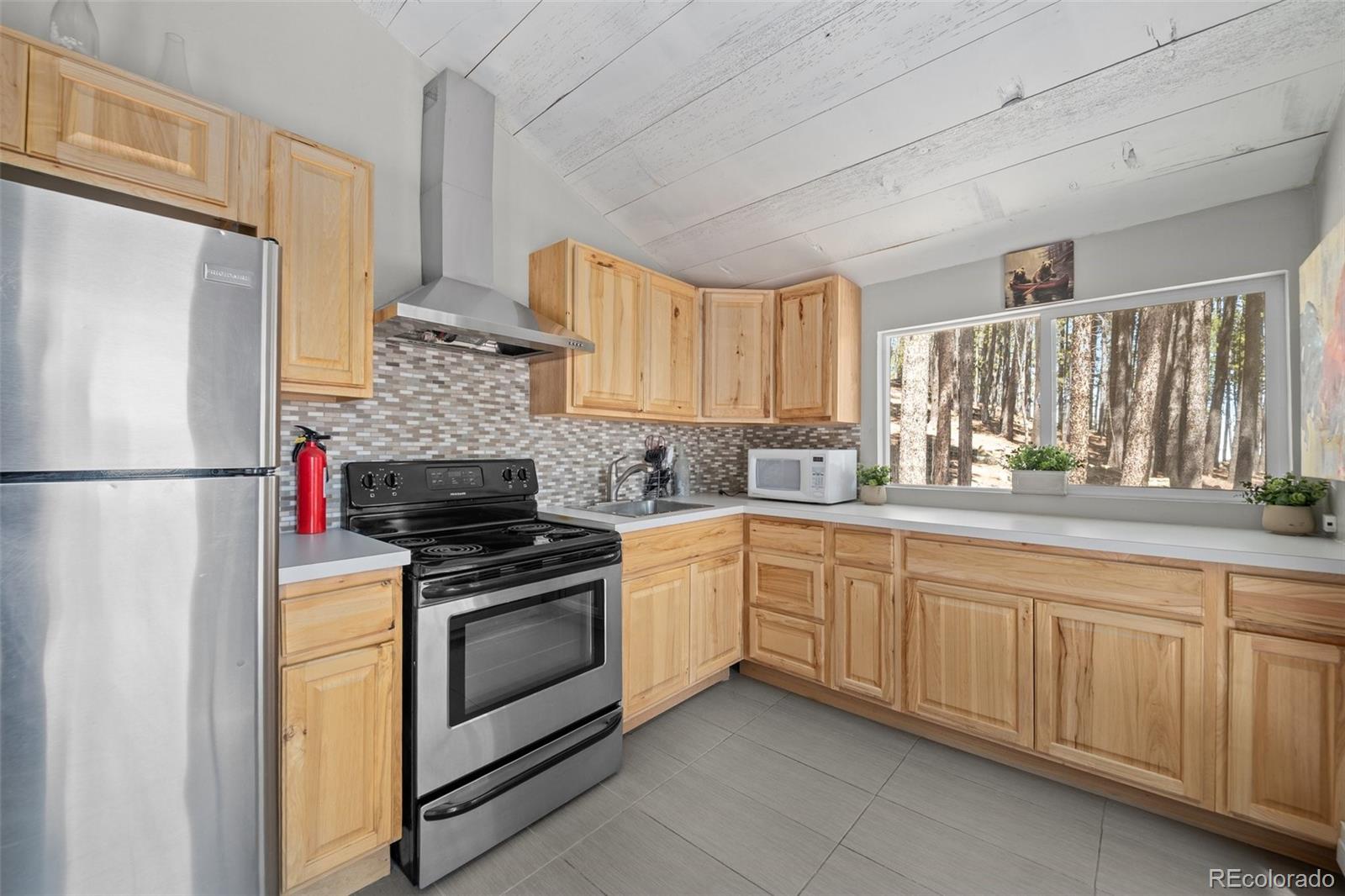 MLS Image #8 for 153  sawmill lane,idaho springs, Colorado