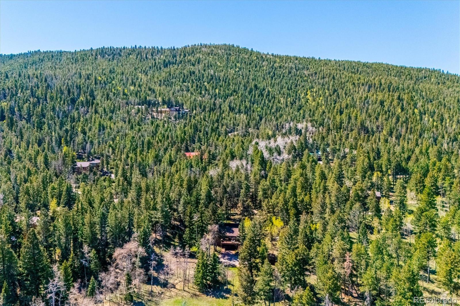 MLS Image #36 for 25357  snyder avenue,conifer, Colorado