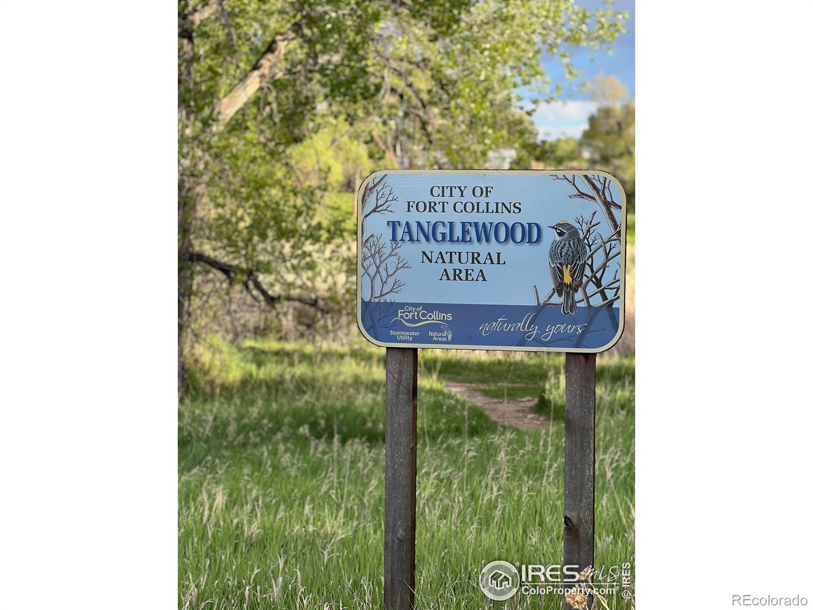 MLS Image #37 for 2132  water blossom lane,fort collins, Colorado
