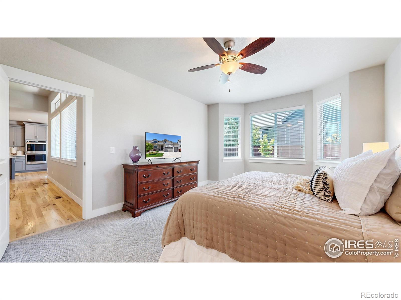 MLS Image #14 for 1896  cloud court,windsor, Colorado