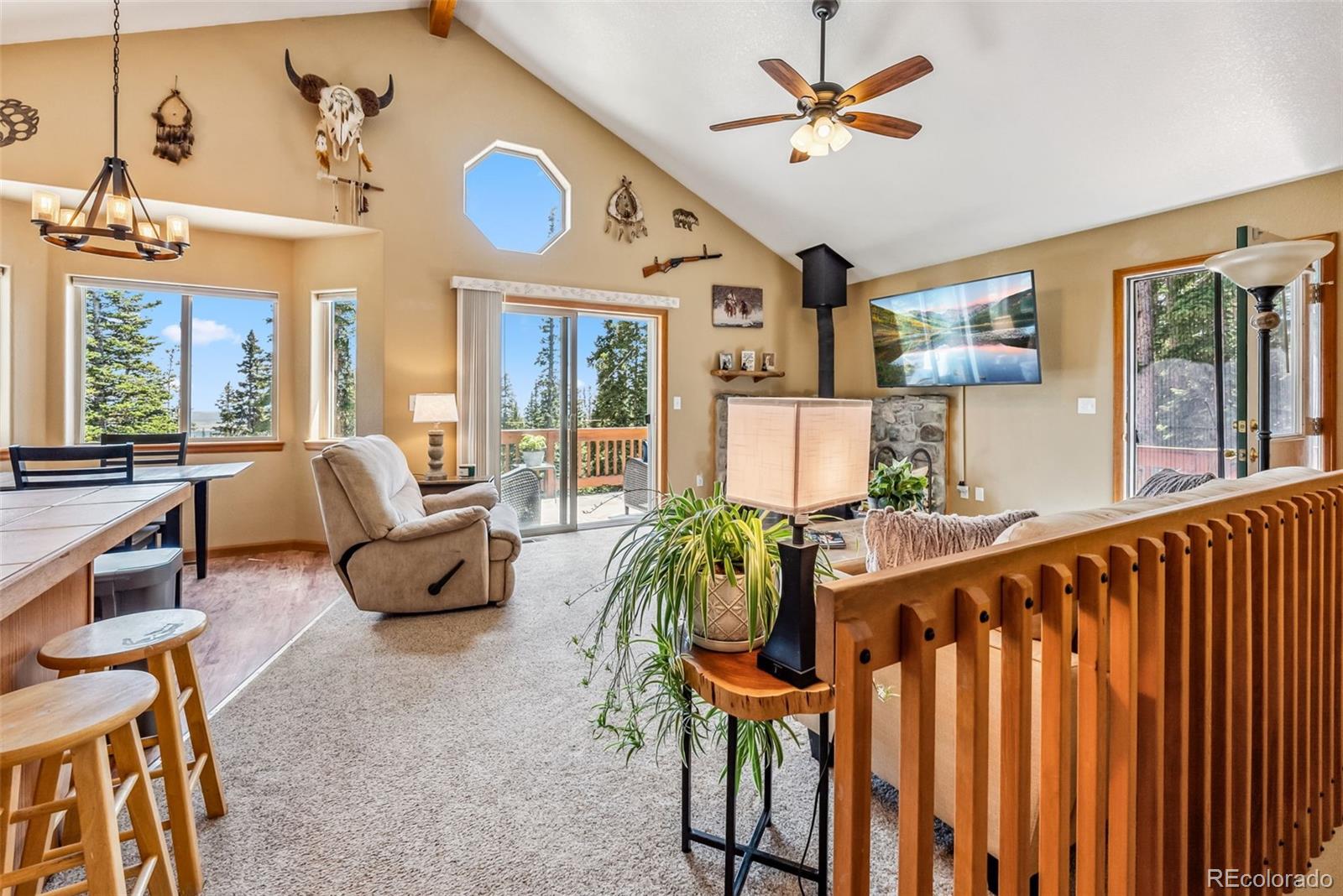 MLS Image #11 for 319  valley of the sun drive,fairplay, Colorado