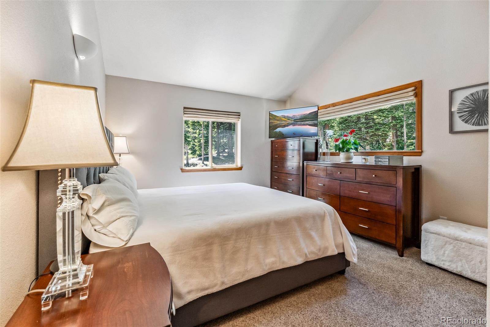 MLS Image #22 for 319  valley of the sun drive,fairplay, Colorado