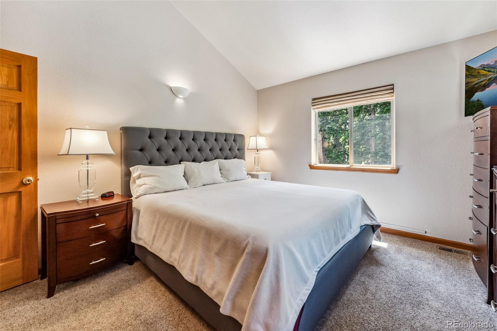 MLS Image #23 for 319  valley of the sun drive,fairplay, Colorado