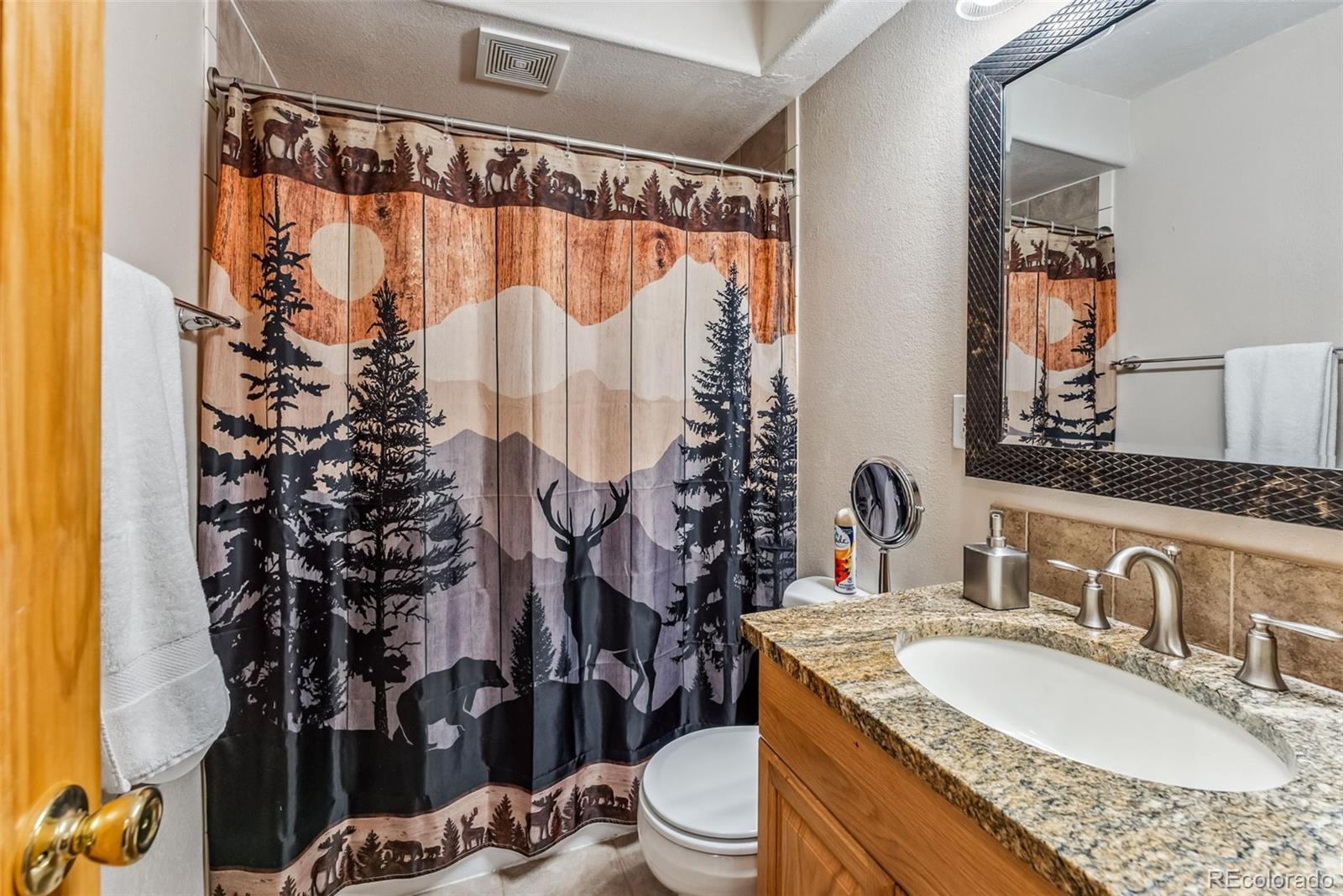 MLS Image #24 for 319  valley of the sun drive,fairplay, Colorado