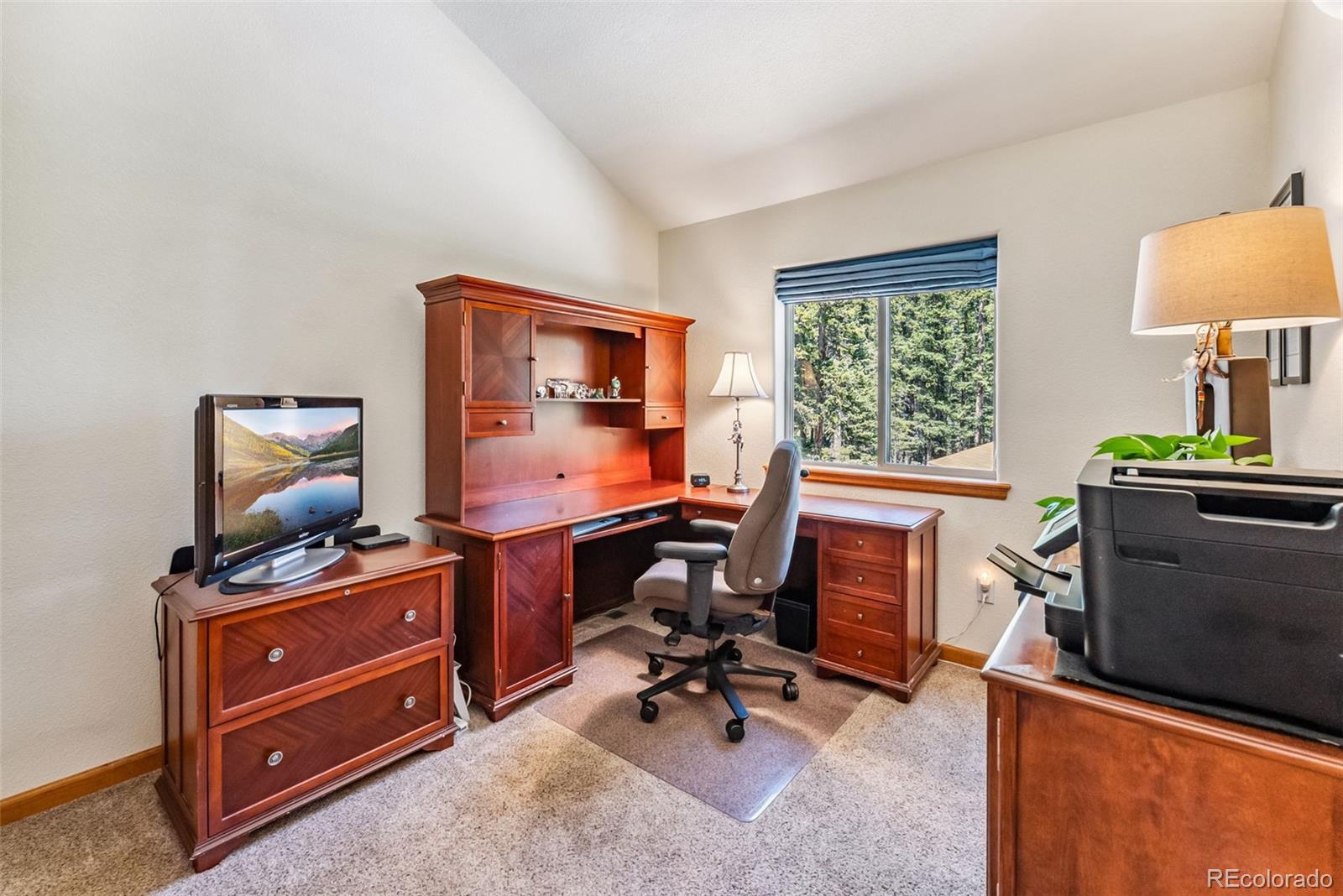 MLS Image #25 for 319  valley of the sun drive,fairplay, Colorado