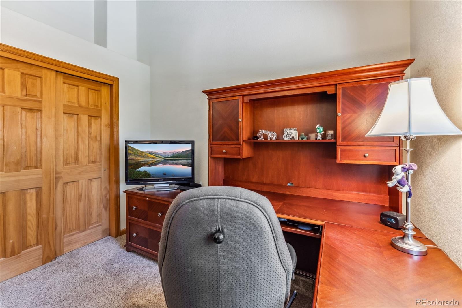 MLS Image #26 for 319  valley of the sun drive,fairplay, Colorado