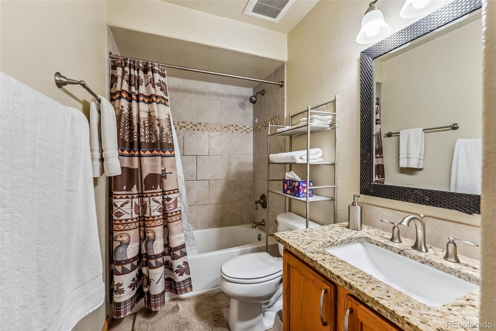 MLS Image #27 for 319  valley of the sun drive,fairplay, Colorado