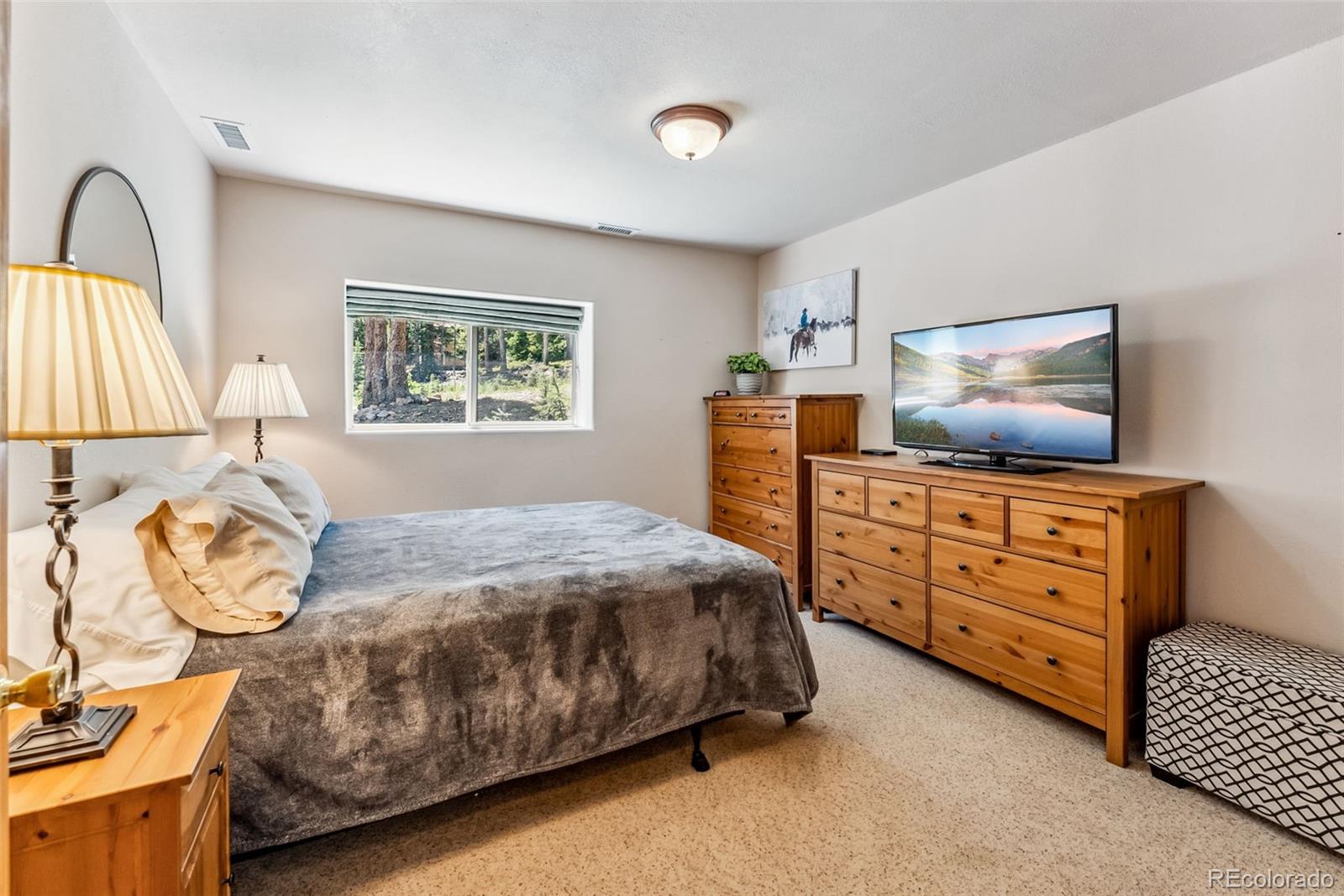 MLS Image #28 for 319  valley of the sun drive,fairplay, Colorado