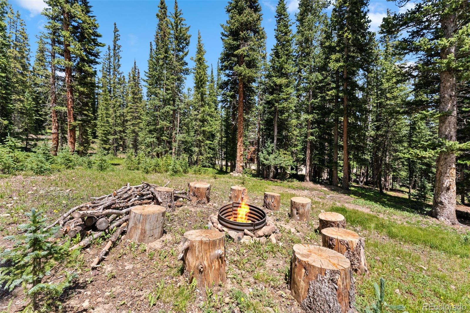 MLS Image #36 for 319  valley of the sun drive,fairplay, Colorado