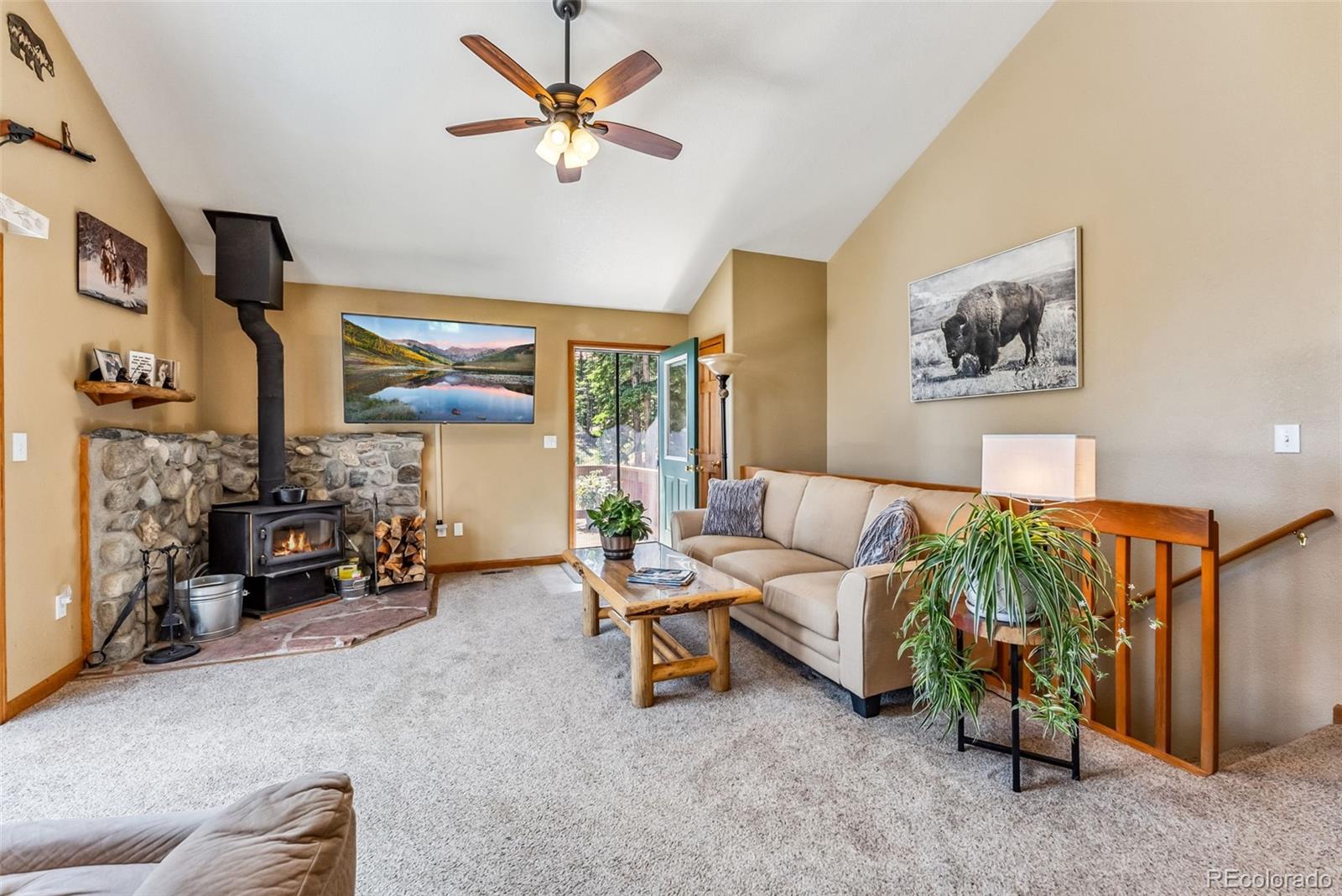 MLS Image #5 for 319  valley of the sun drive,fairplay, Colorado