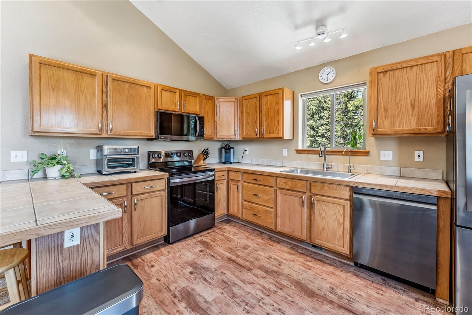 MLS Image #8 for 319  valley of the sun drive,fairplay, Colorado