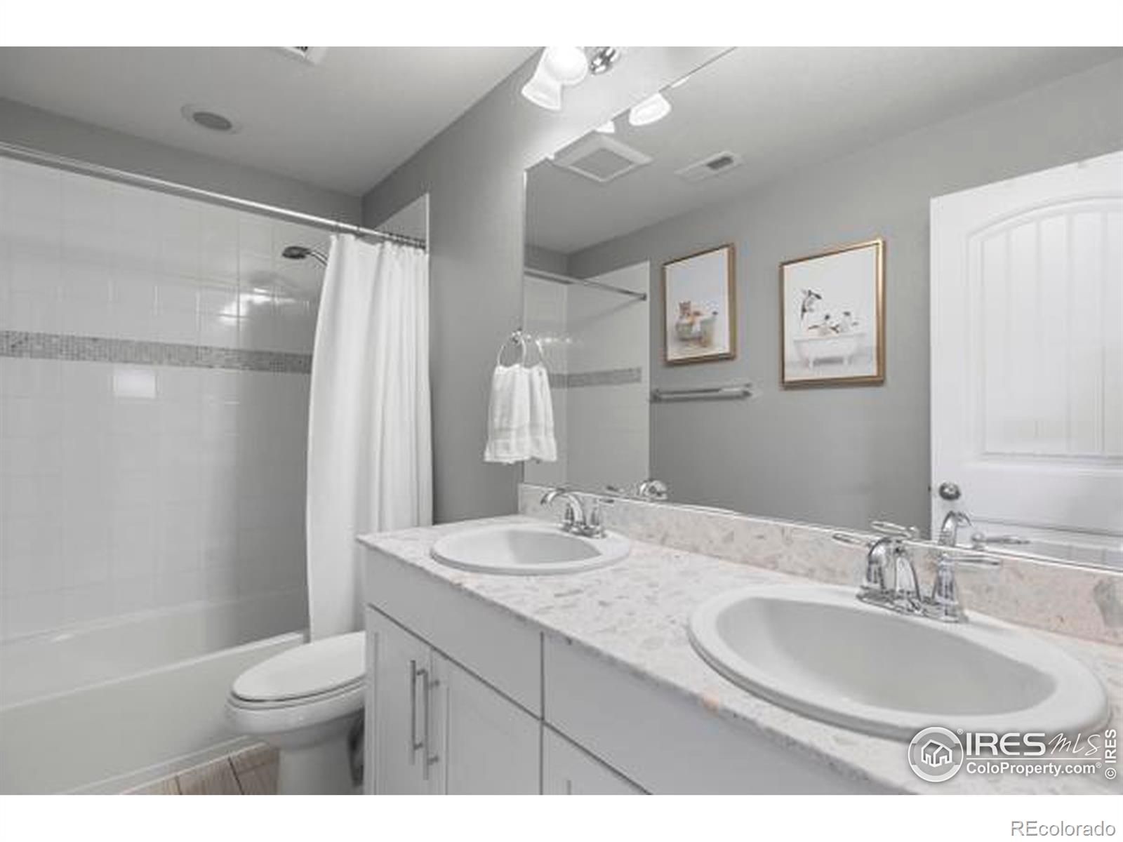 MLS Image #20 for 2021  tidewater court,windsor, Colorado