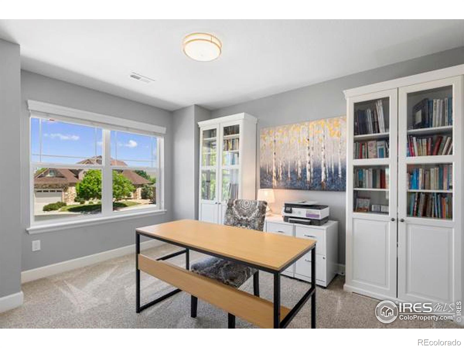 MLS Image #21 for 2021  tidewater court,windsor, Colorado