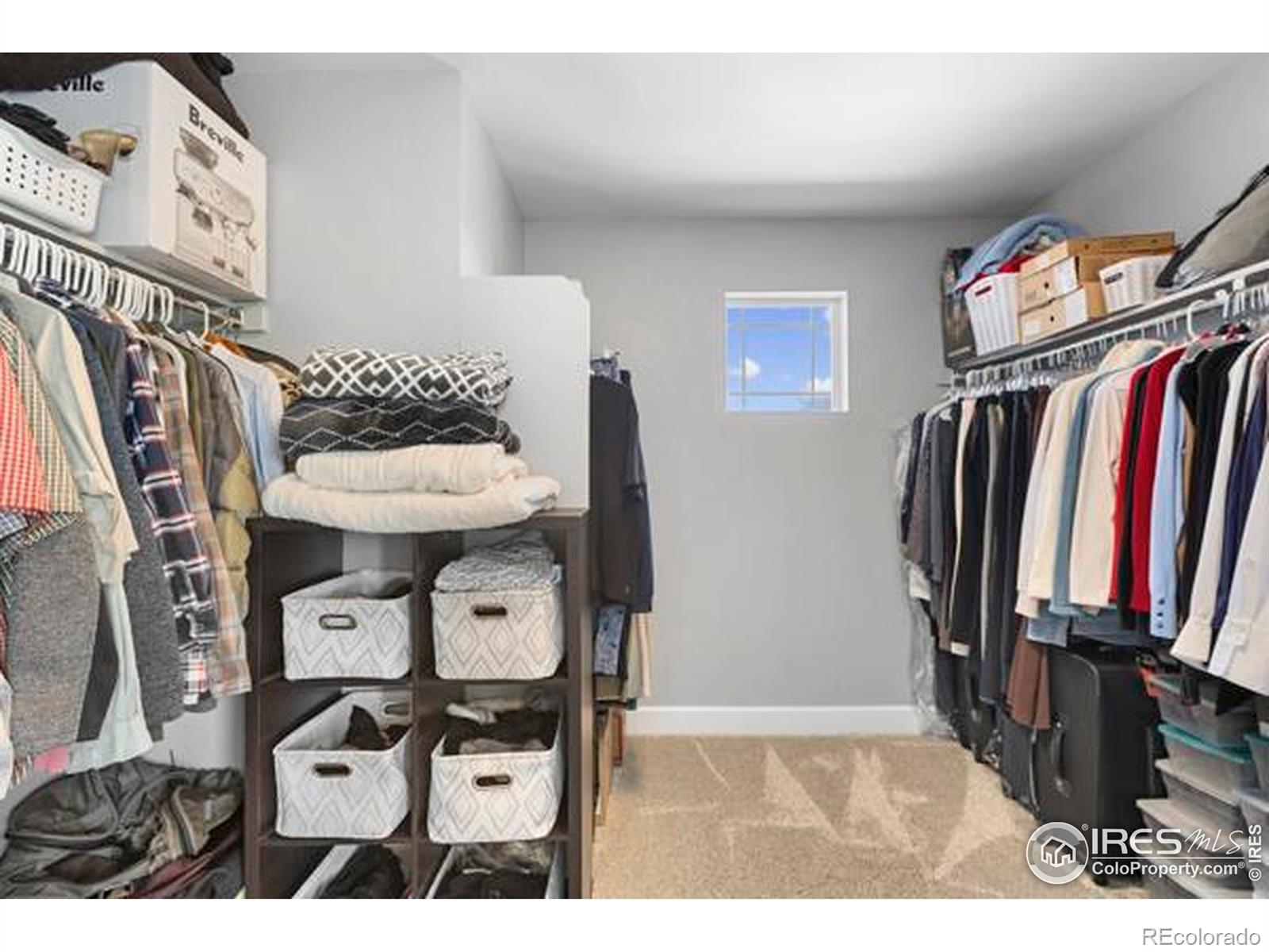 MLS Image #28 for 2021  tidewater court,windsor, Colorado