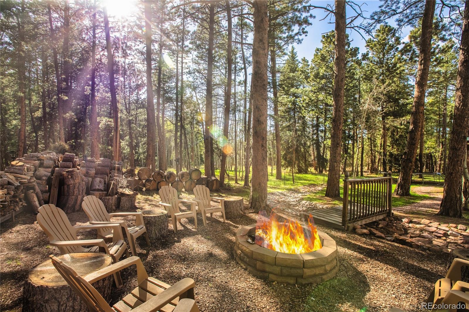 MLS Image #8 for 1230  cottontail trail,woodland park, Colorado