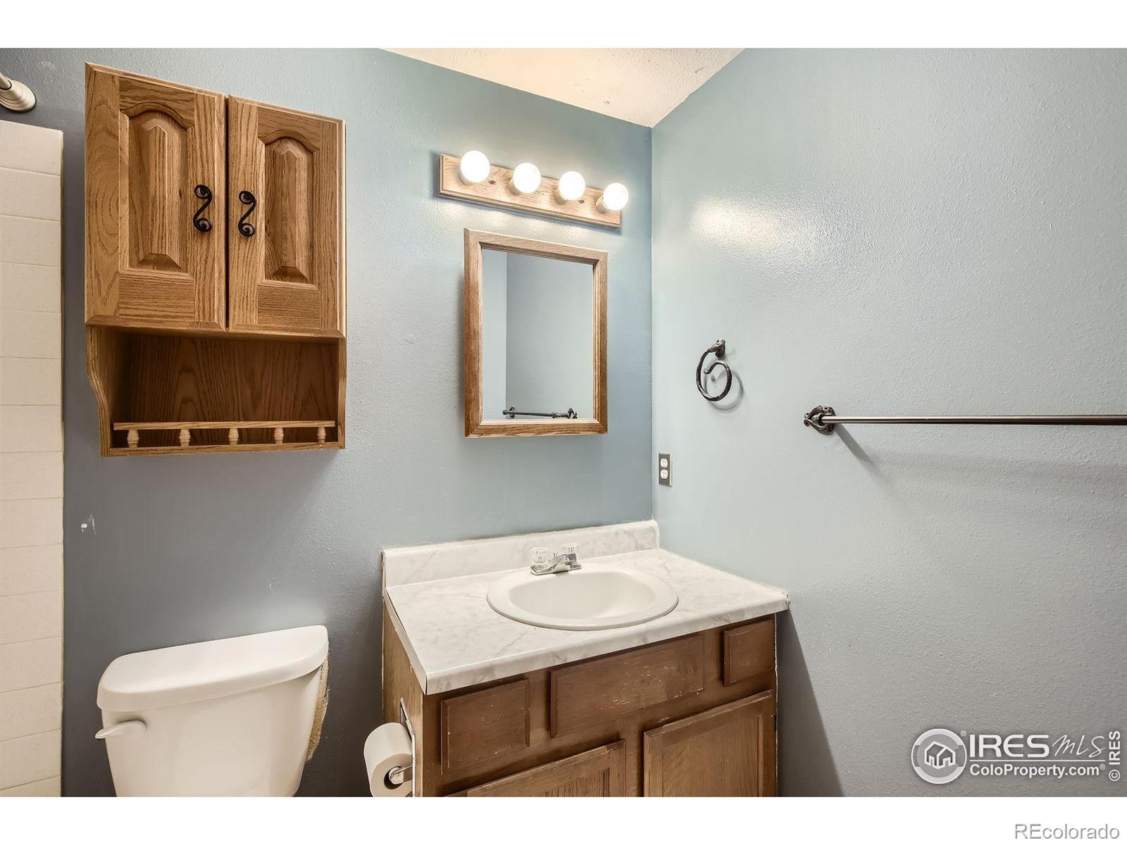 MLS Image #12 for 3307  liverpool street,fort collins, Colorado
