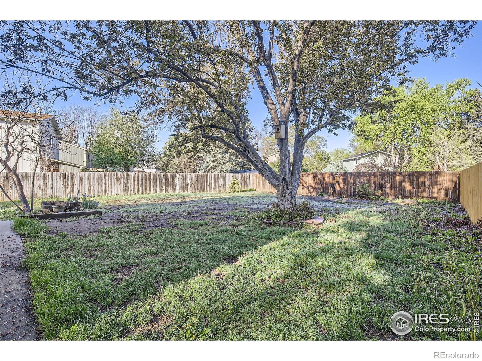 MLS Image #23 for 3307  liverpool street,fort collins, Colorado
