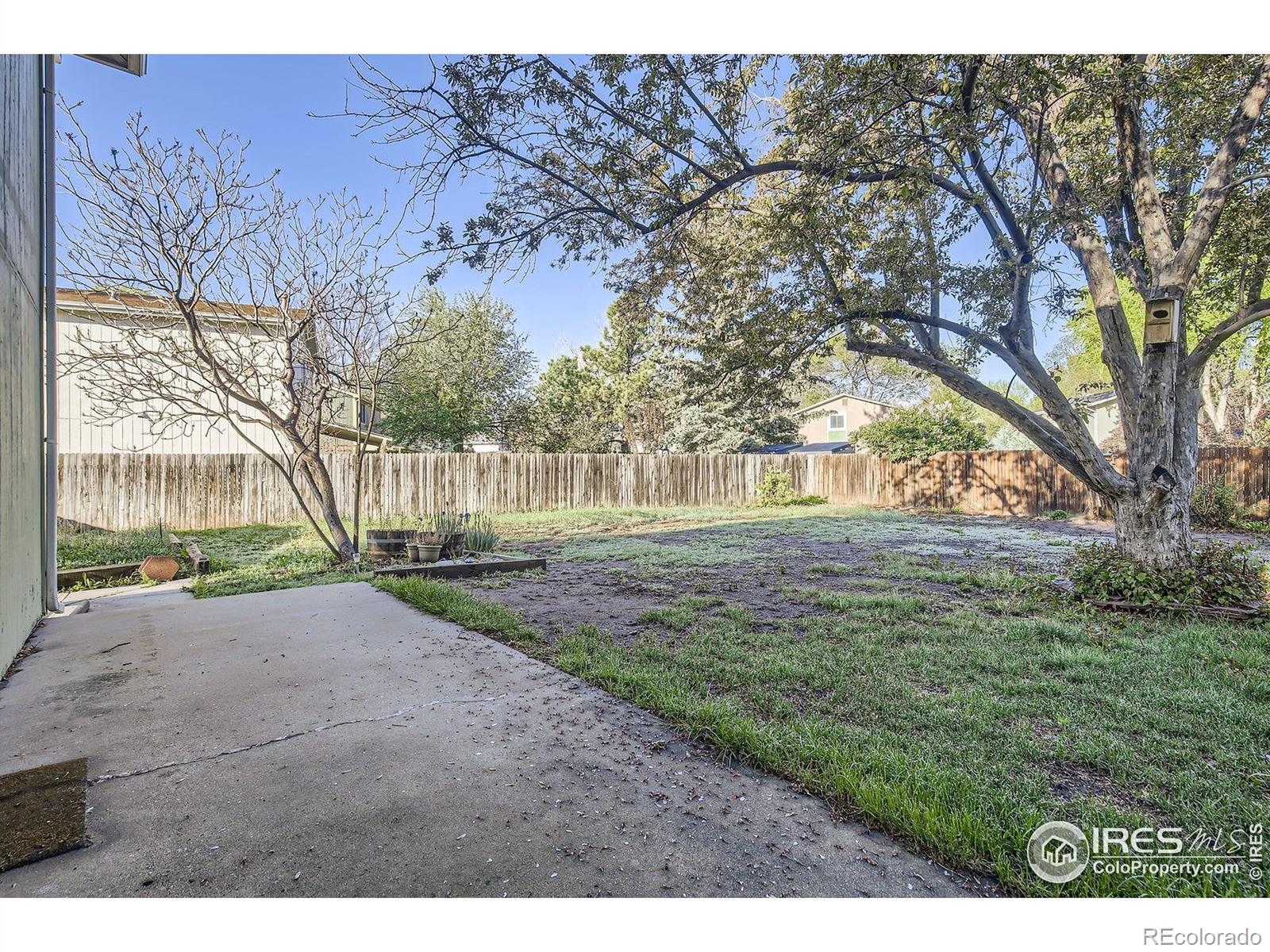 MLS Image #24 for 3307  liverpool street,fort collins, Colorado