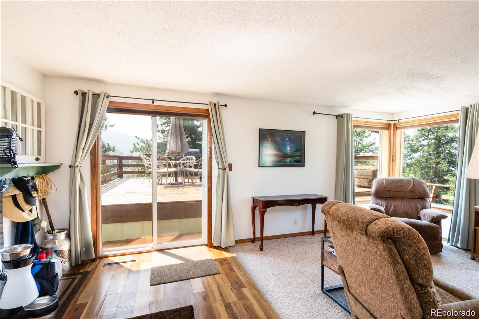 MLS Image #16 for 102  cutthroat ,lake george, Colorado
