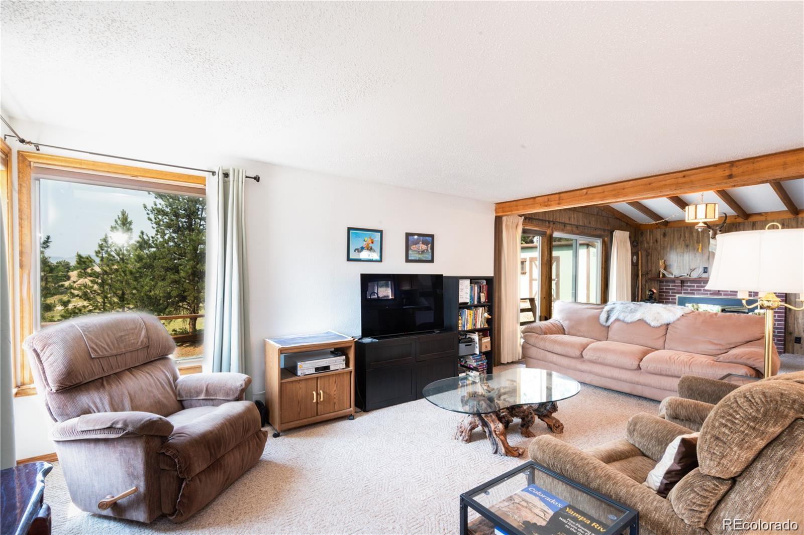 MLS Image #19 for 102  cutthroat ,lake george, Colorado