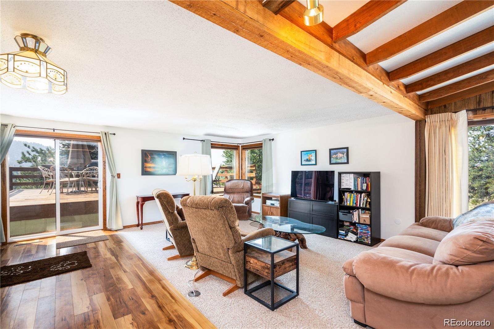 MLS Image #20 for 102  cutthroat ,lake george, Colorado