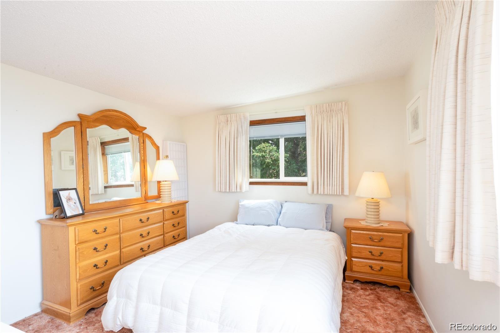 MLS Image #33 for 102  cutthroat ,lake george, Colorado