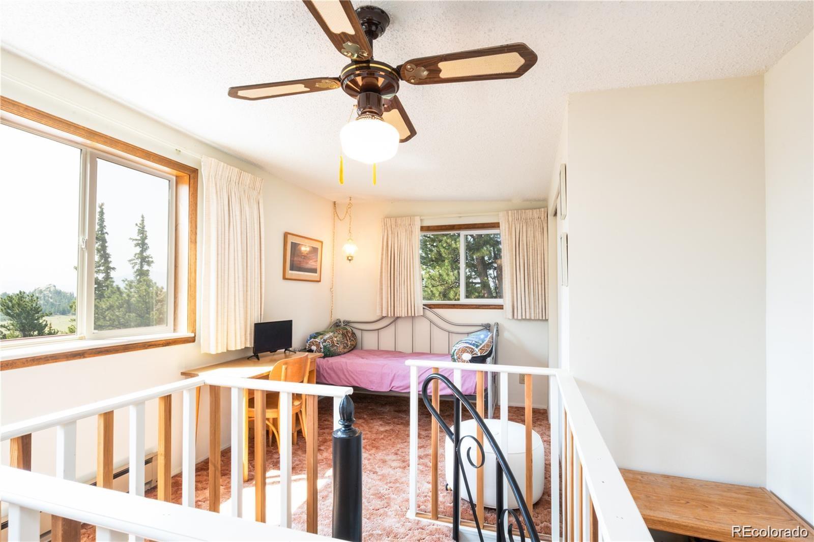 MLS Image #34 for 102  cutthroat ,lake george, Colorado