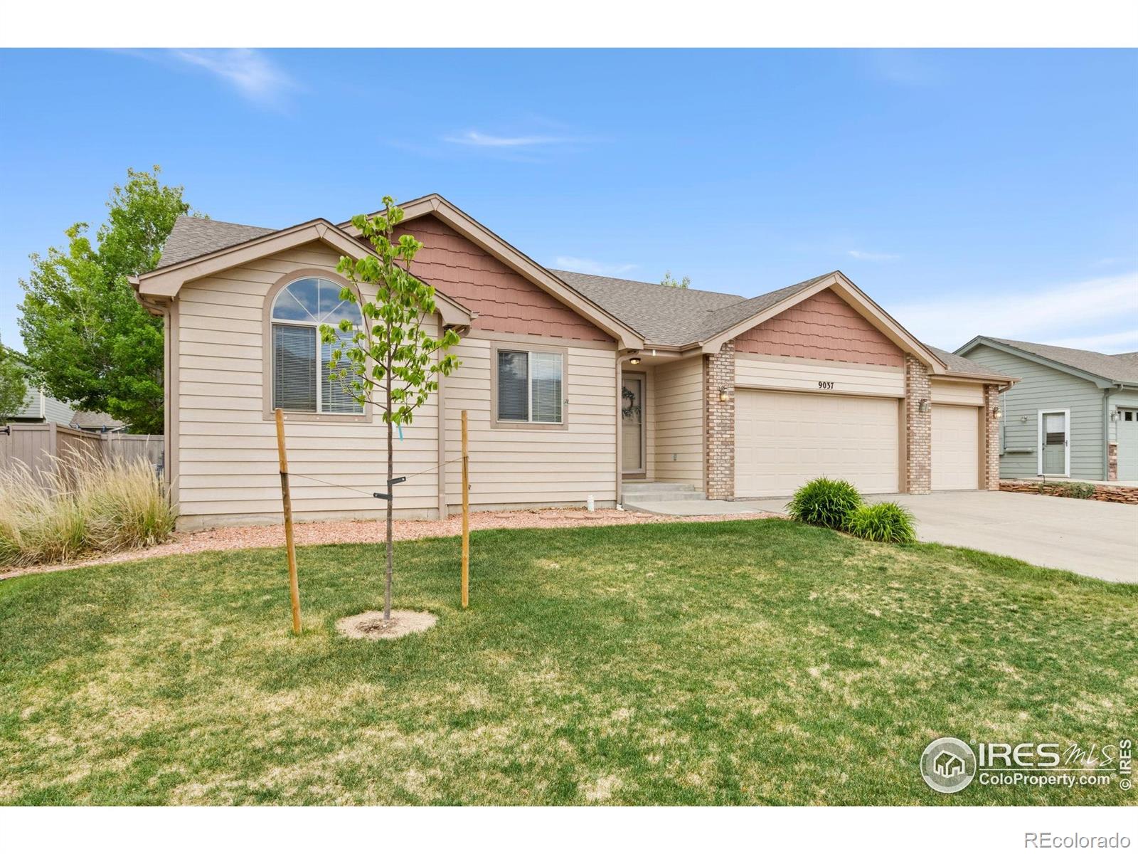 CMA Image for 9037  painted horse lane,Wellington, Colorado