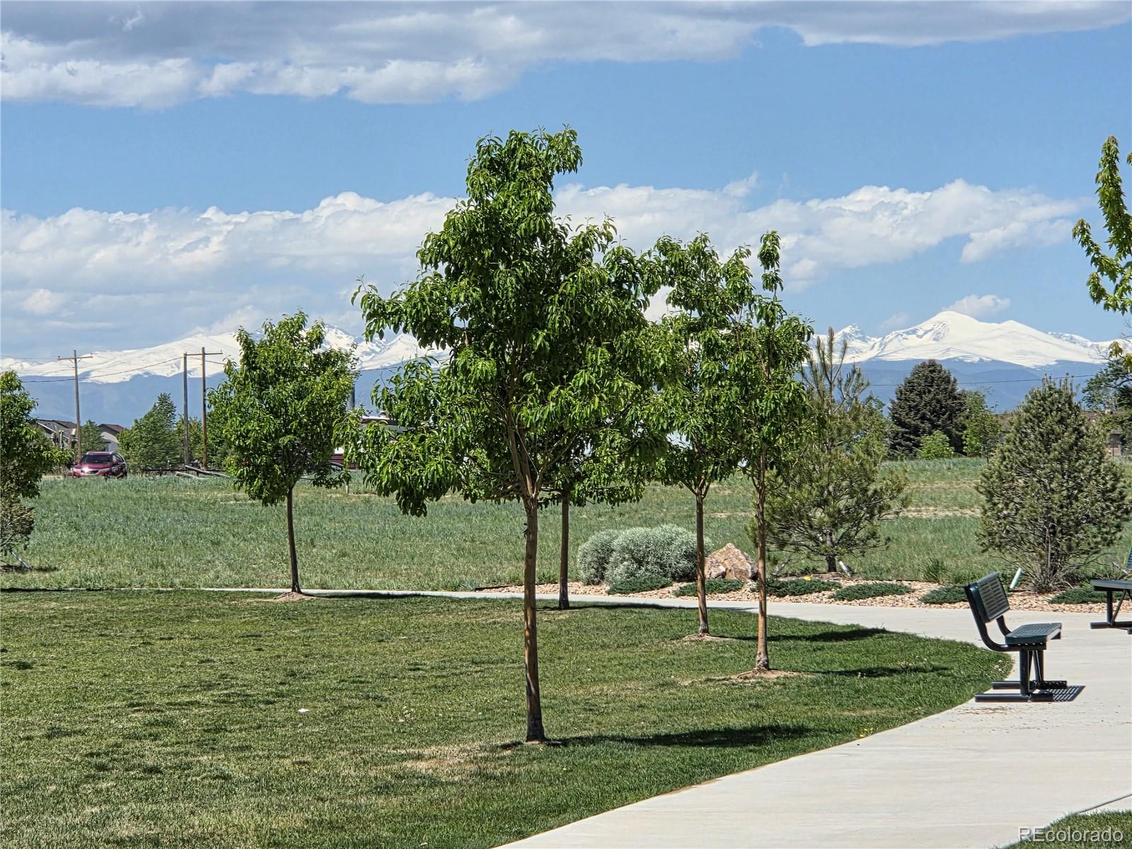 MLS Image #26 for 6404  dry fork drive,frederick, Colorado