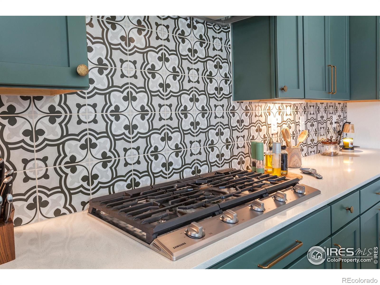 MLS Image #10 for 2951  barnstormer street,fort collins, Colorado
