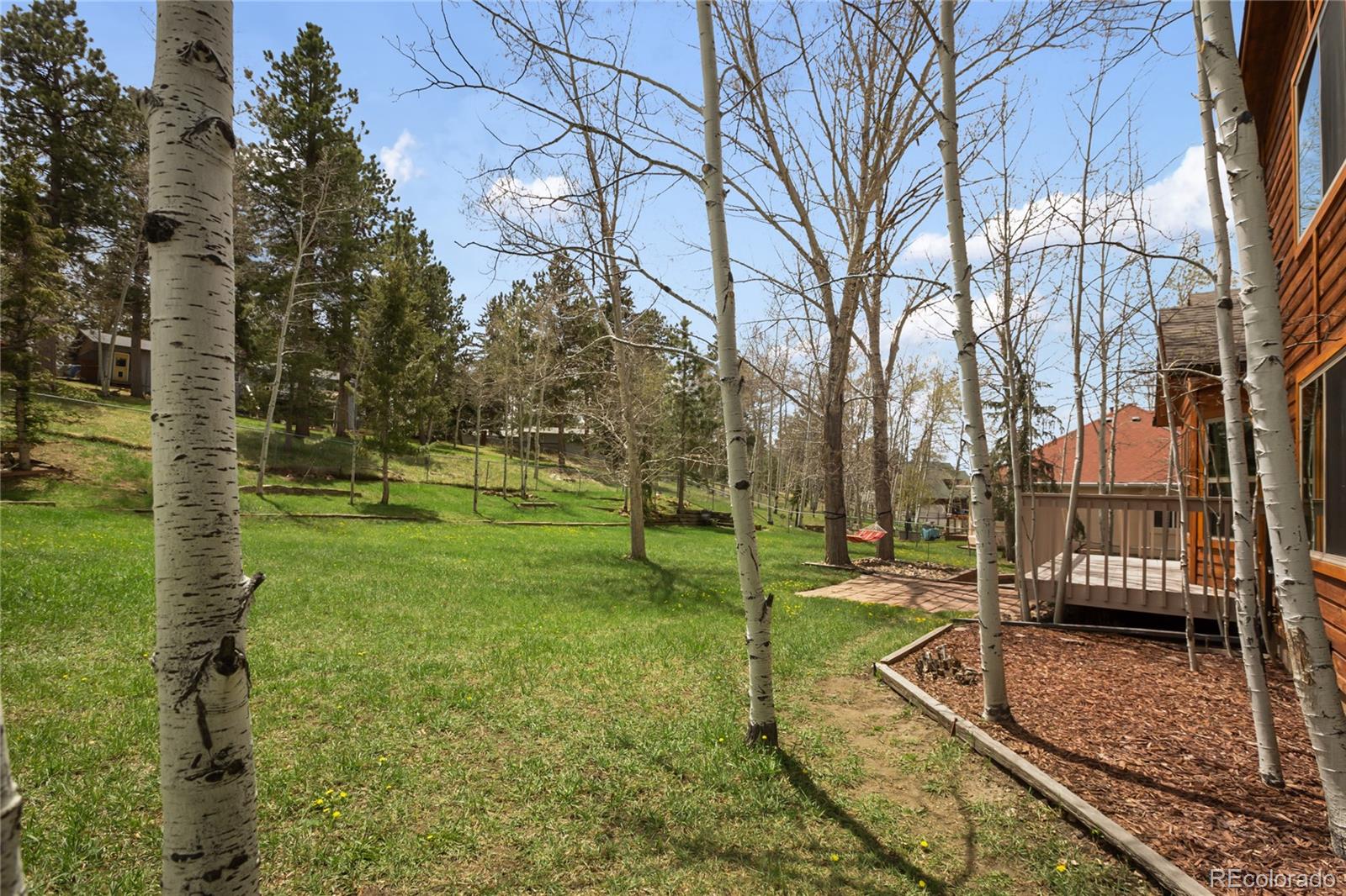 MLS Image #34 for 1955  valley view drive,woodland park, Colorado