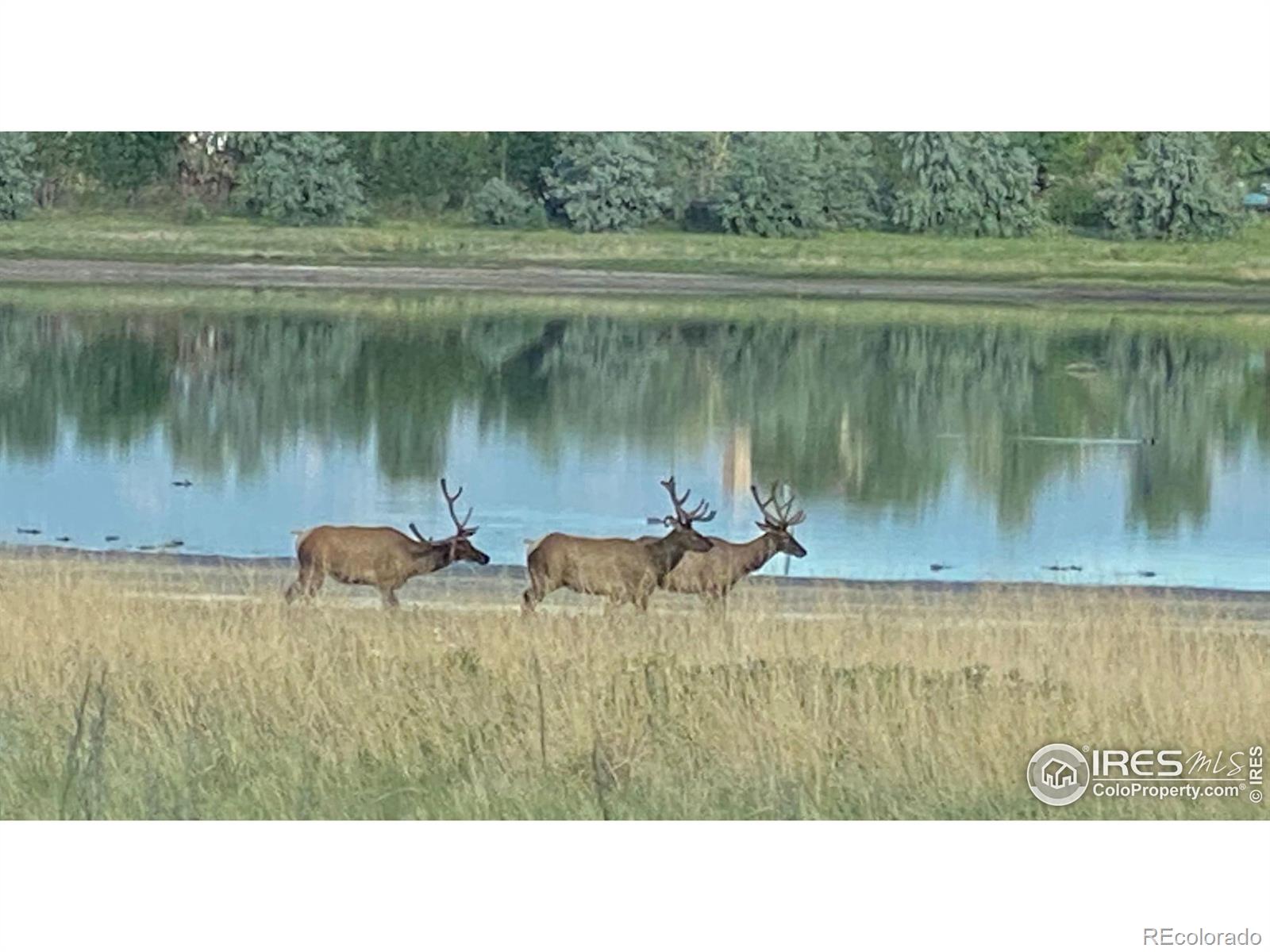 MLS Image #35 for 23111  county road 1 ,berthoud, Colorado