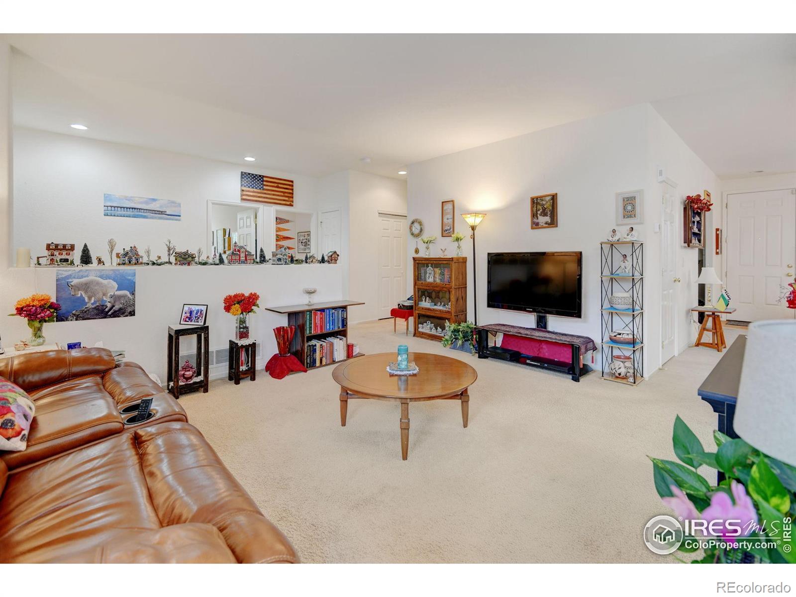 MLS Image #10 for 4312  windmill drive,brighton, Colorado