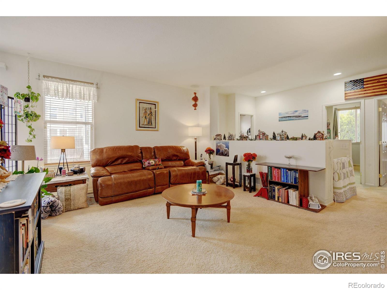MLS Image #12 for 4312  windmill drive,brighton, Colorado