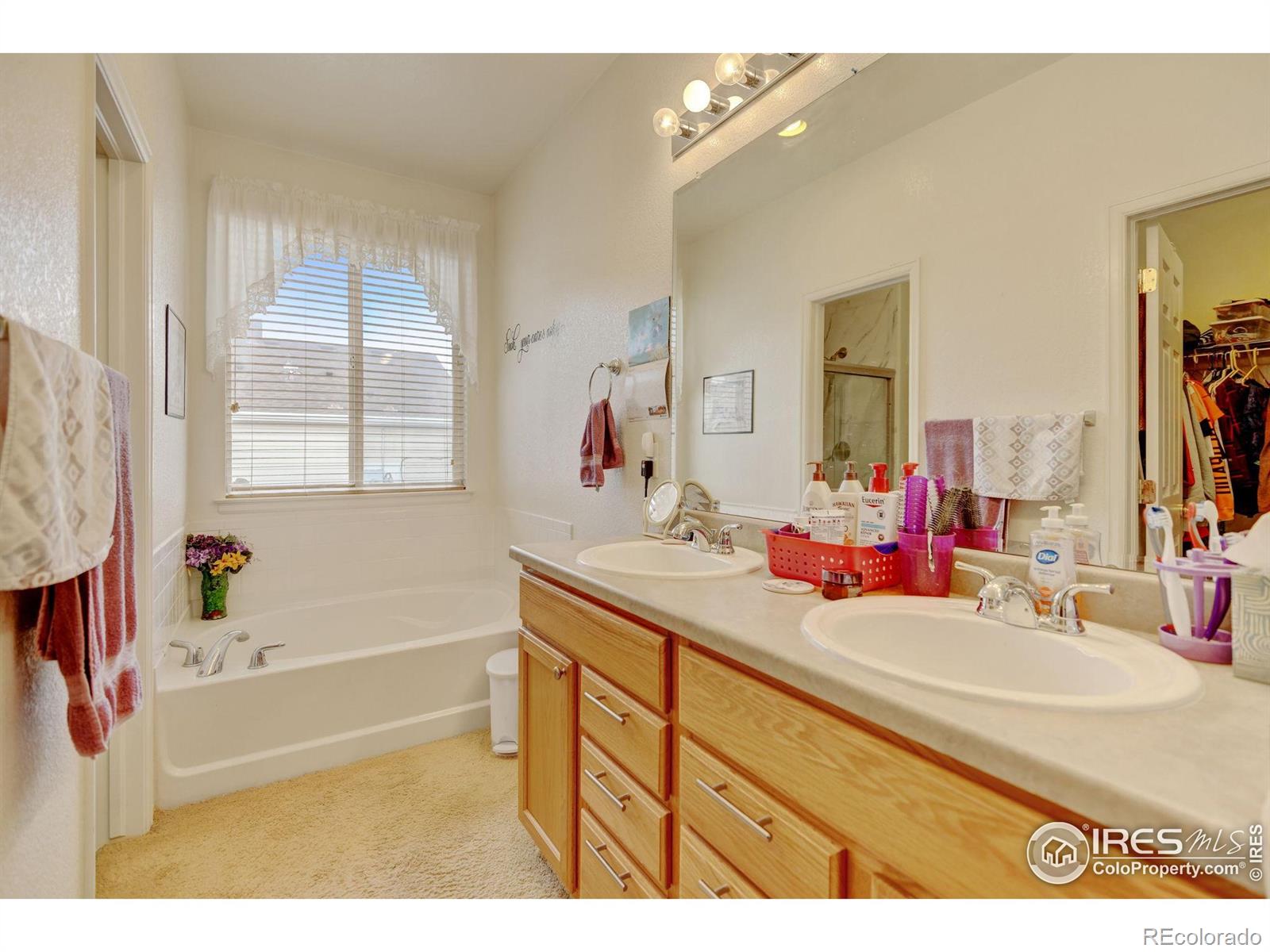 MLS Image #18 for 4312  windmill drive,brighton, Colorado